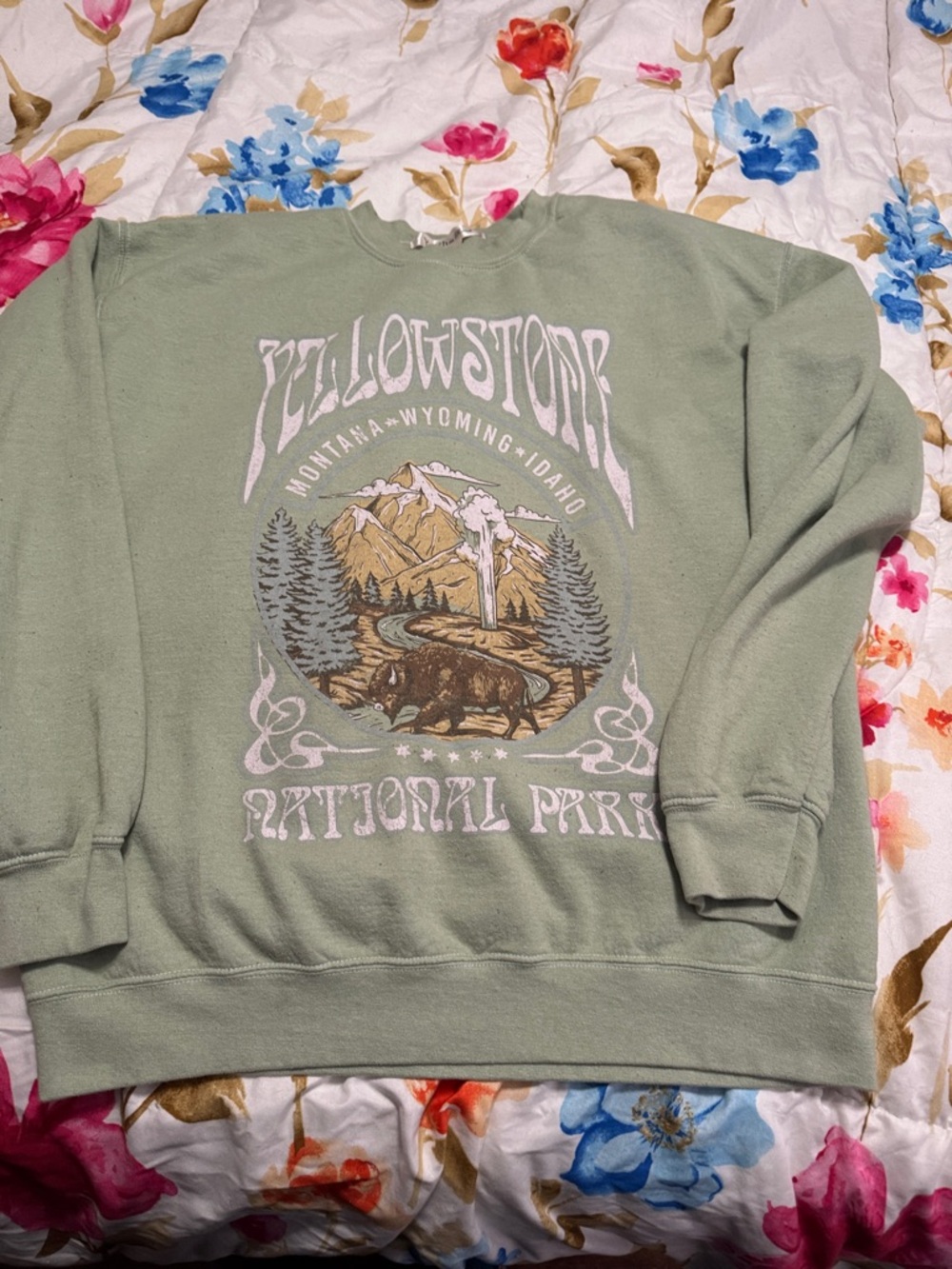 Yellowstone National Park Graphic Crewneck Sweater - Sage Green